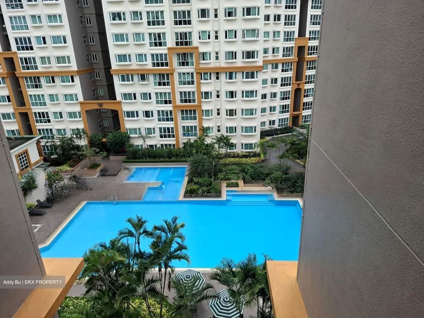 Evergreen Park (D19), Apartment #617067701
